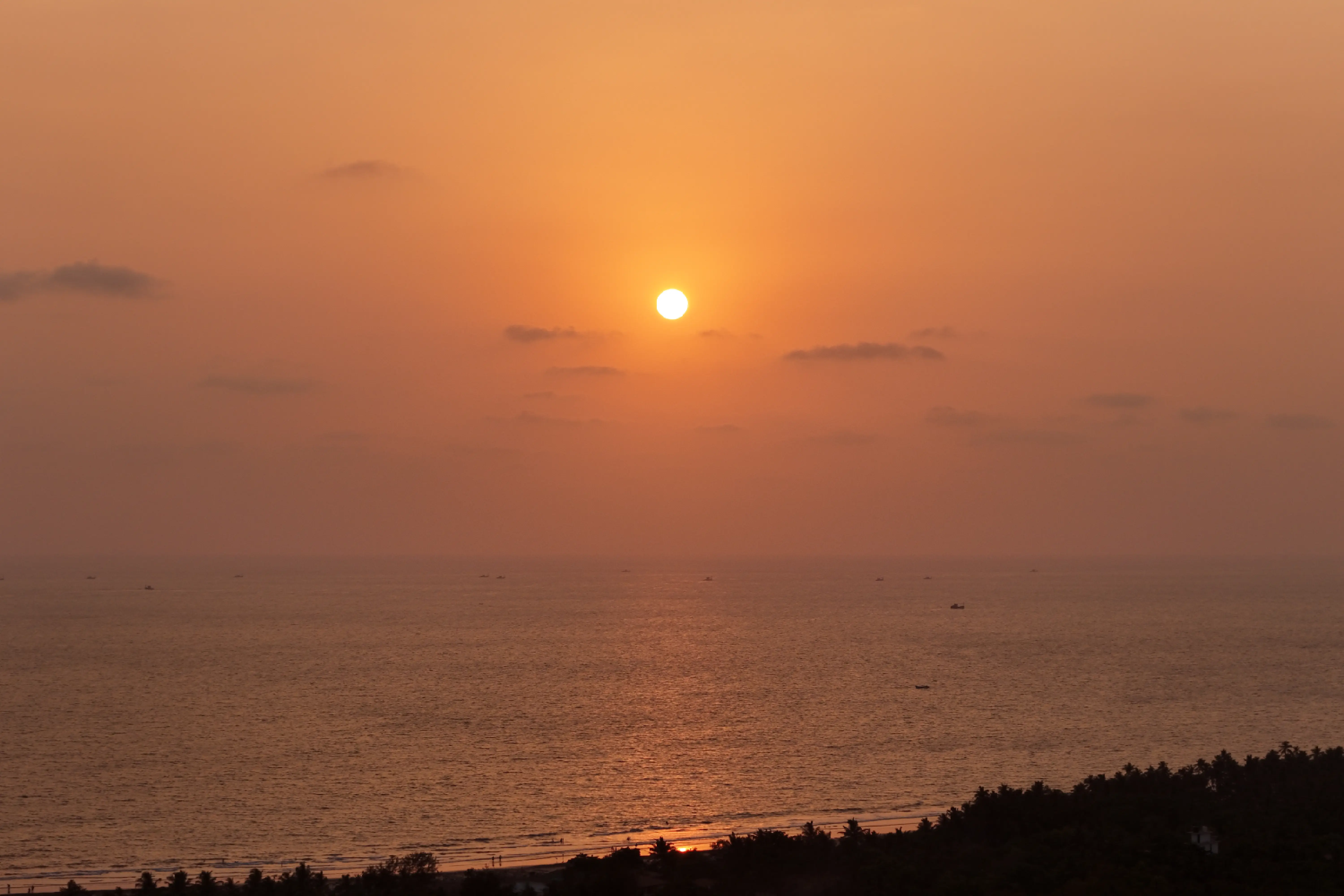 Image 31
