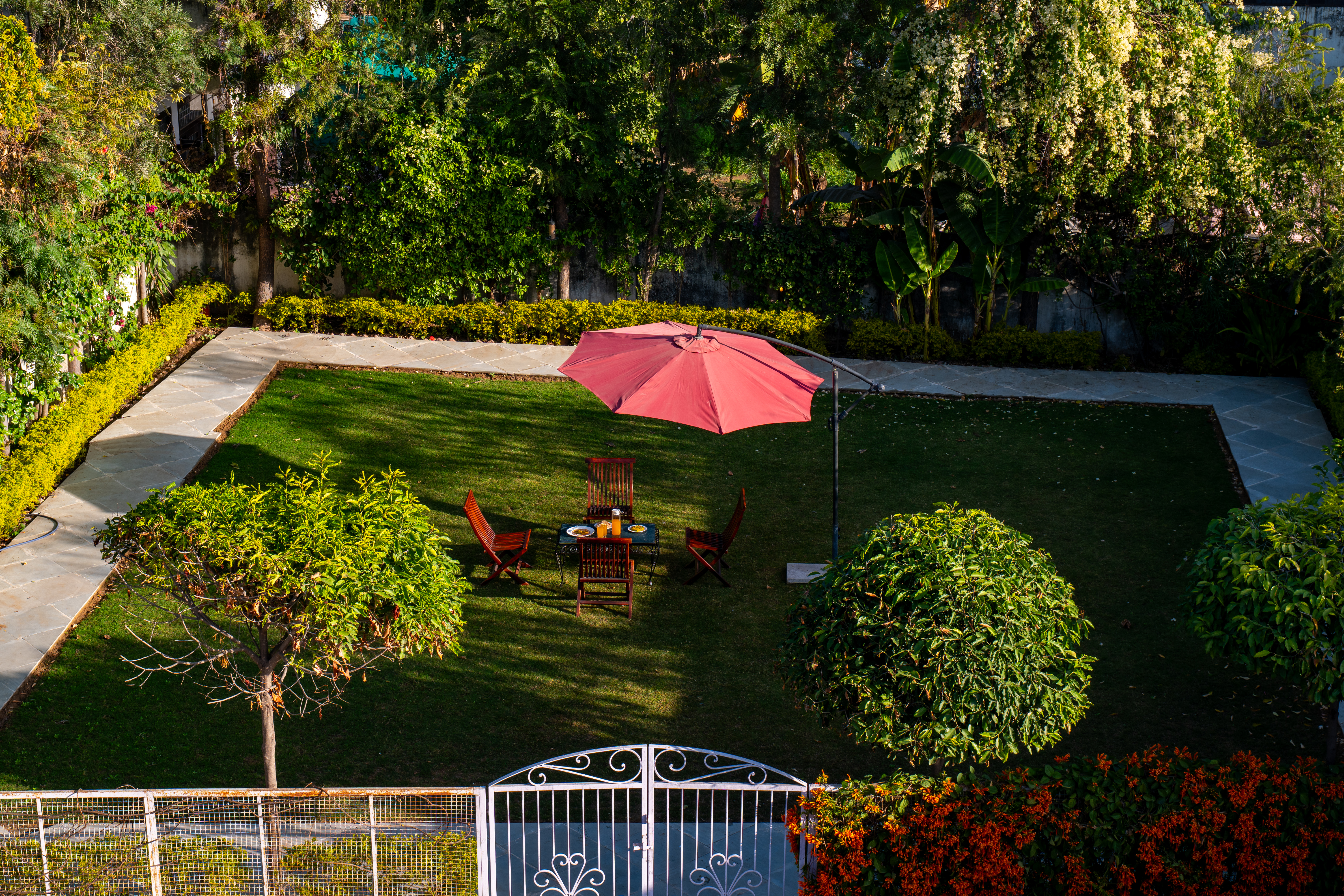 Garden