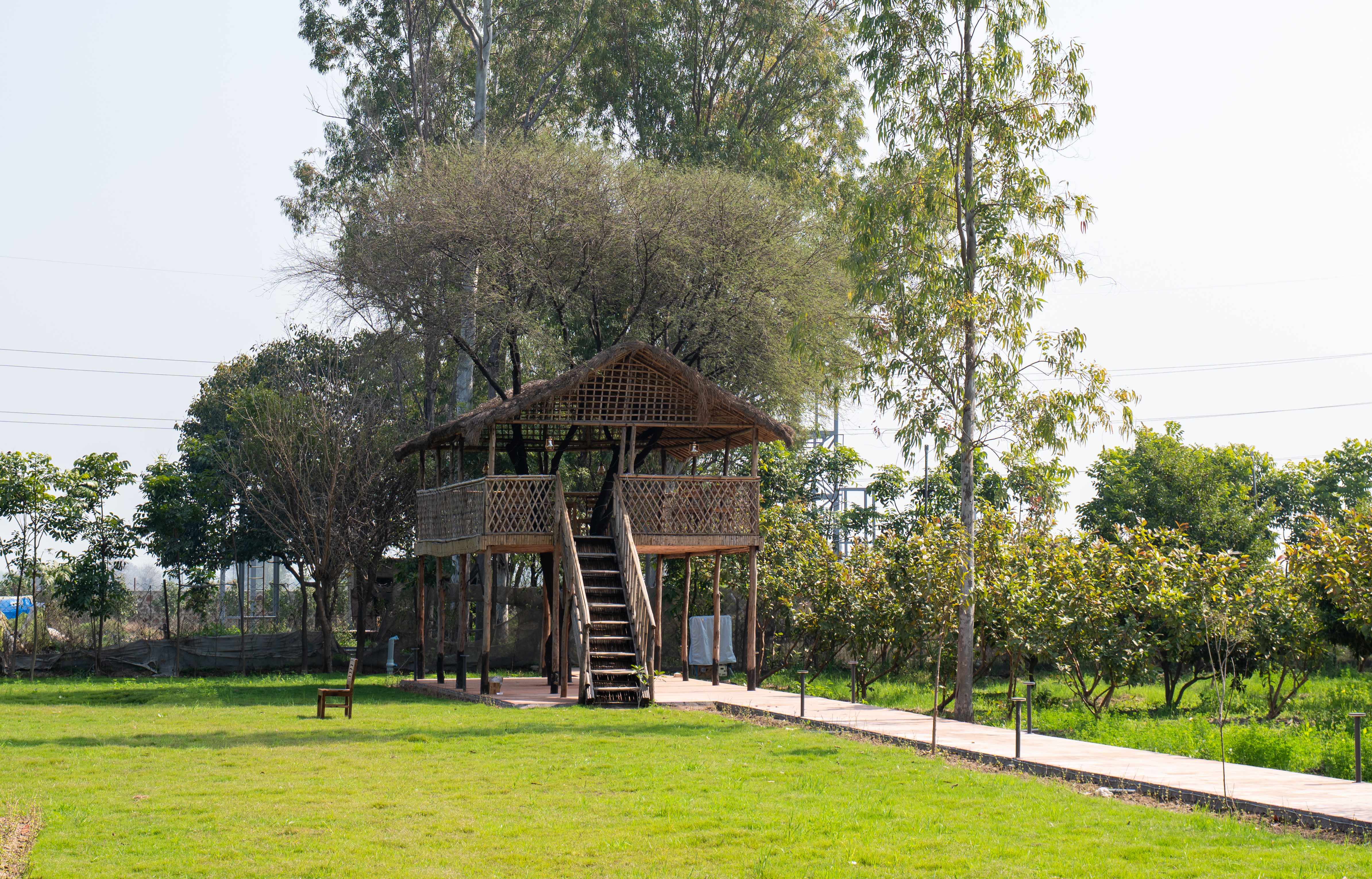 Tree House (Machan)