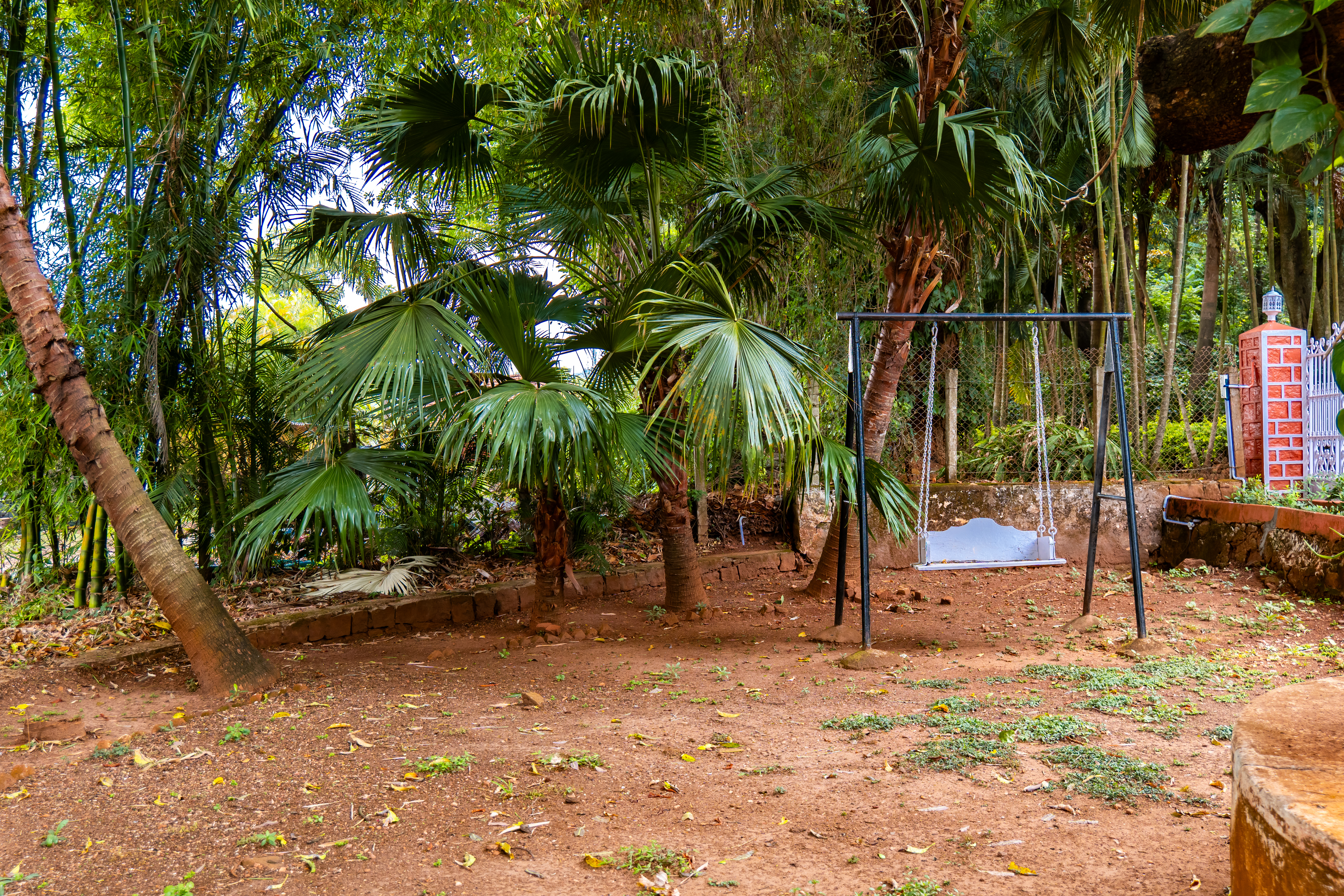 Image 12