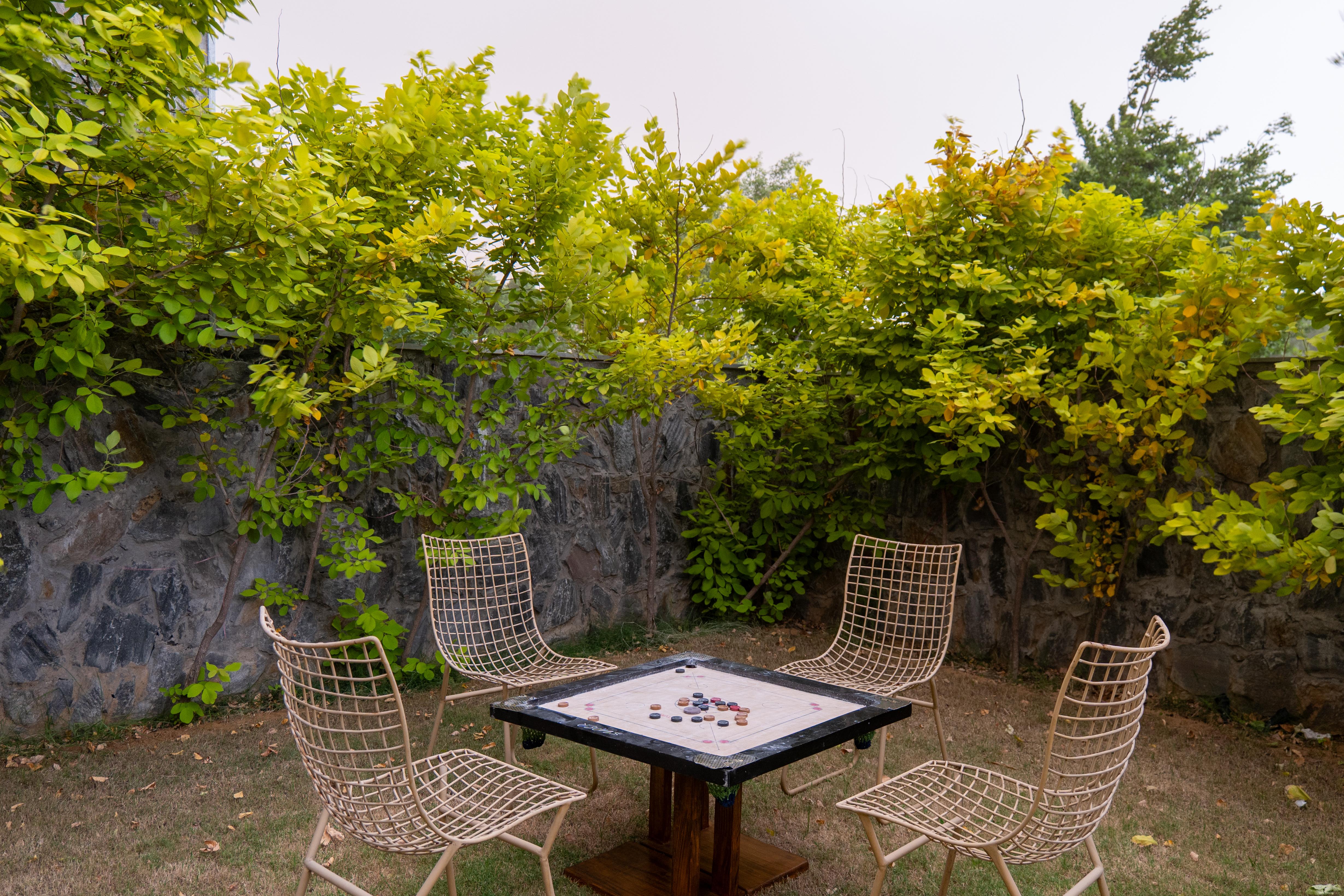 Game area