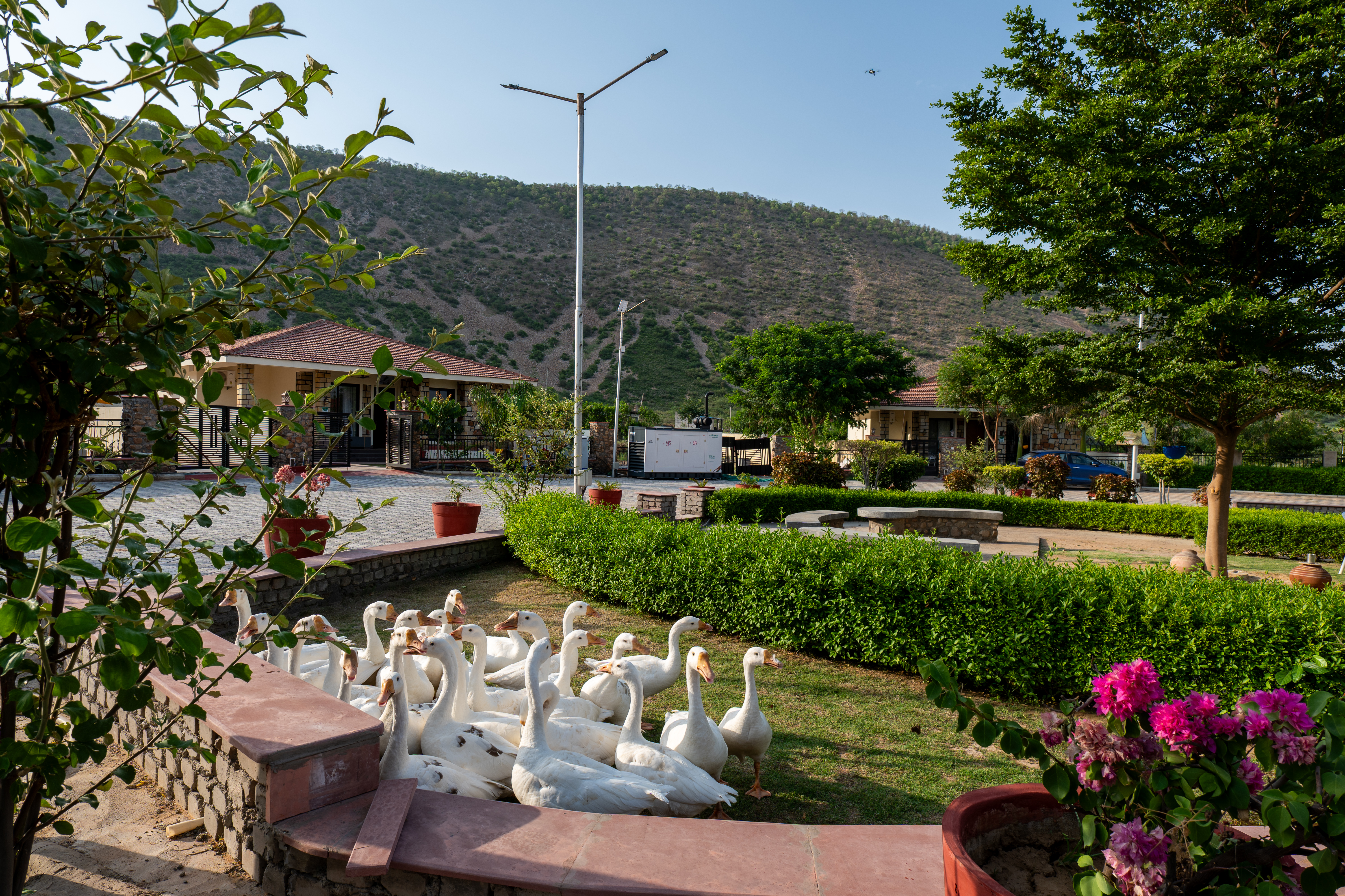 Image 11