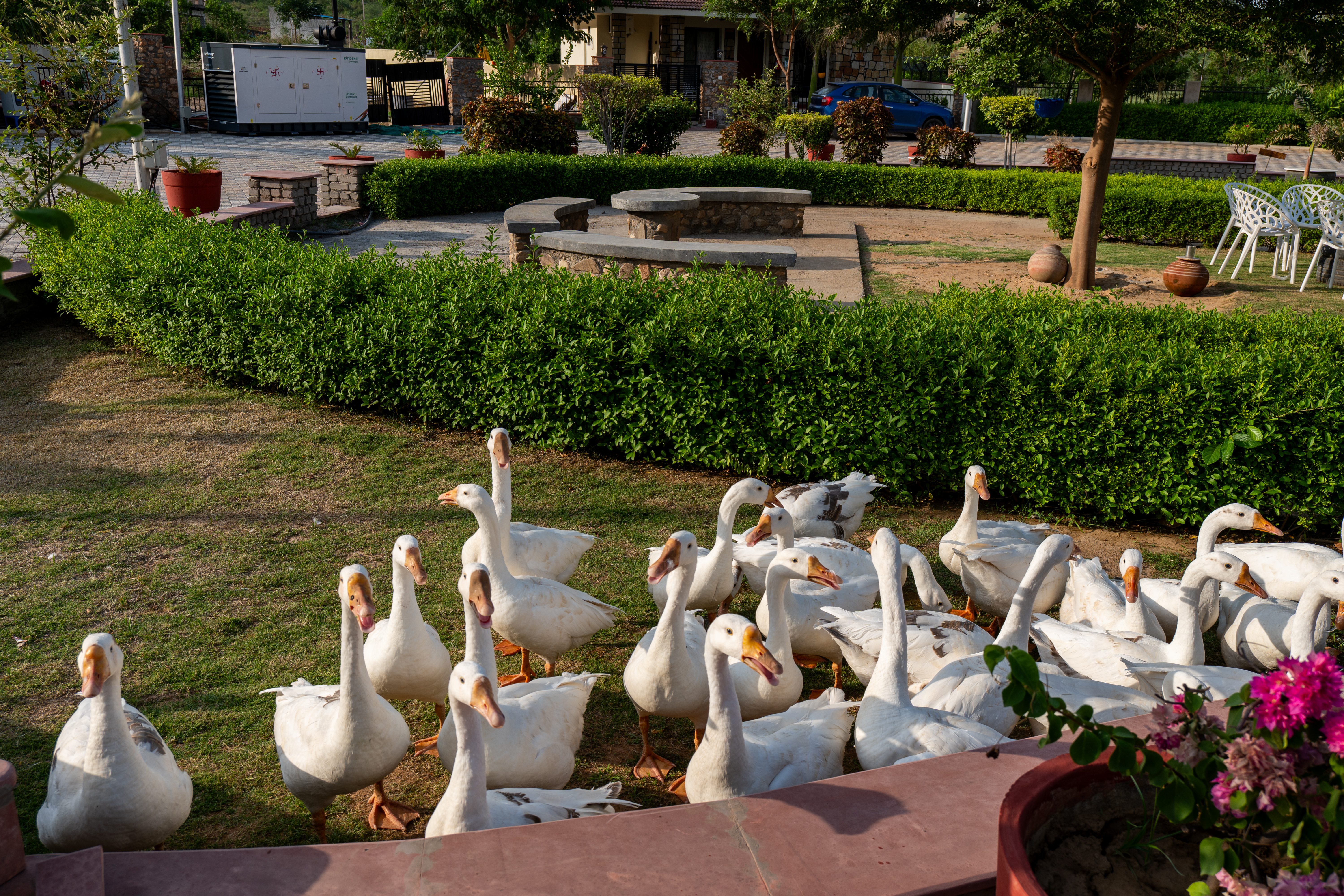 Image 34