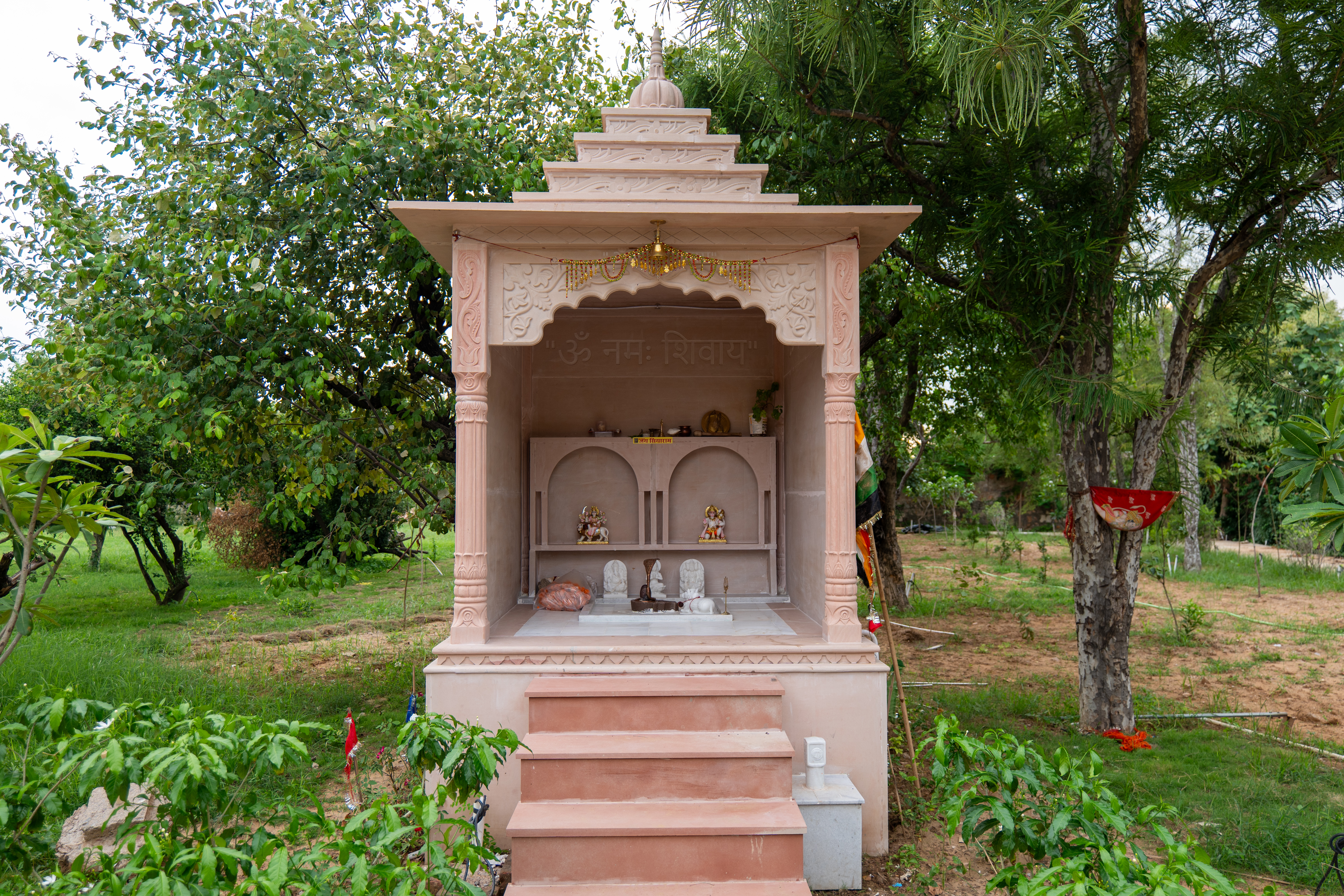 Image 18
