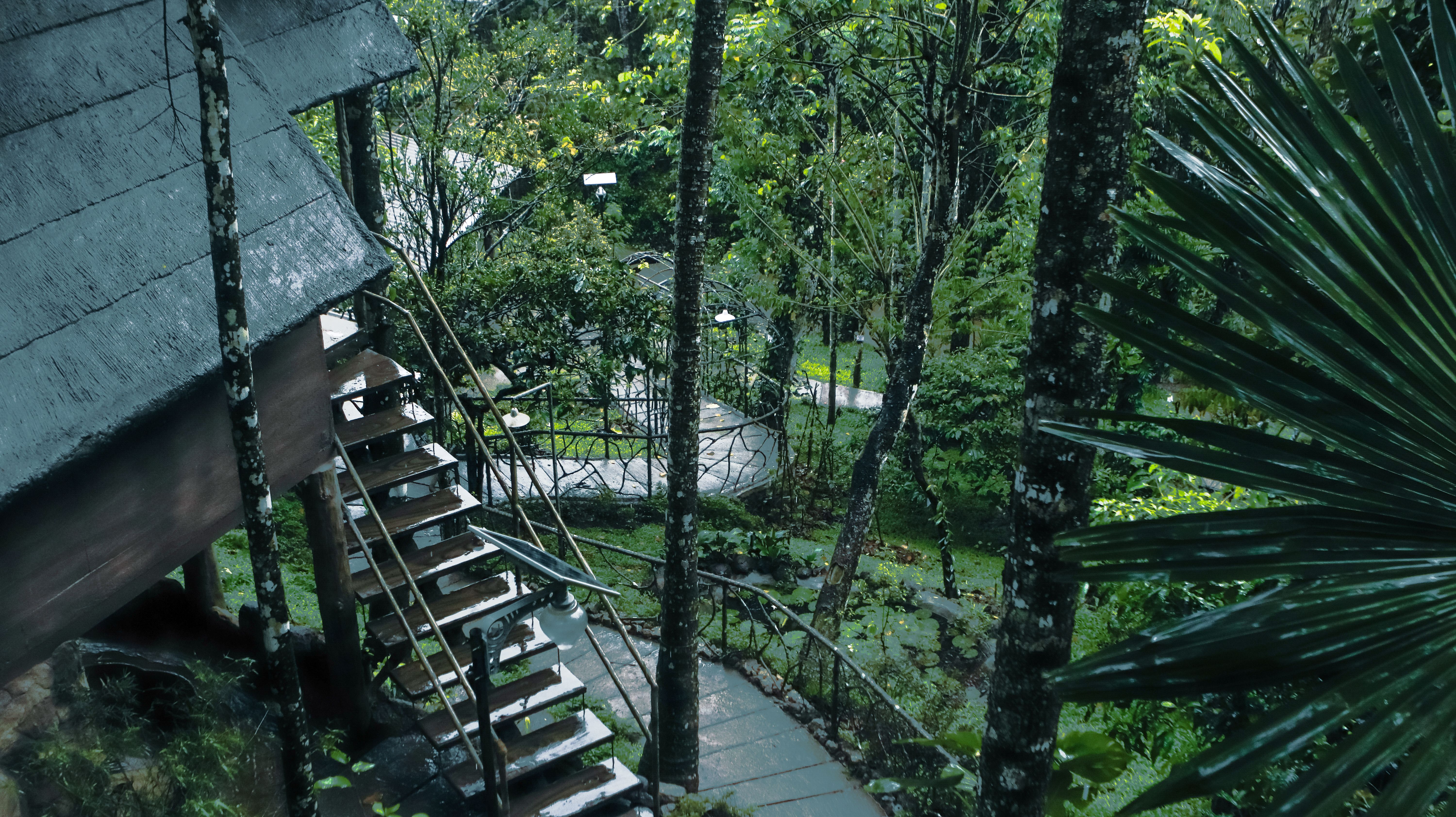 Panchavadi | 10-acre Land With 6 Forest-Facing Rooms, Natural Mountain Pool, Garden & Restro - Image 4
