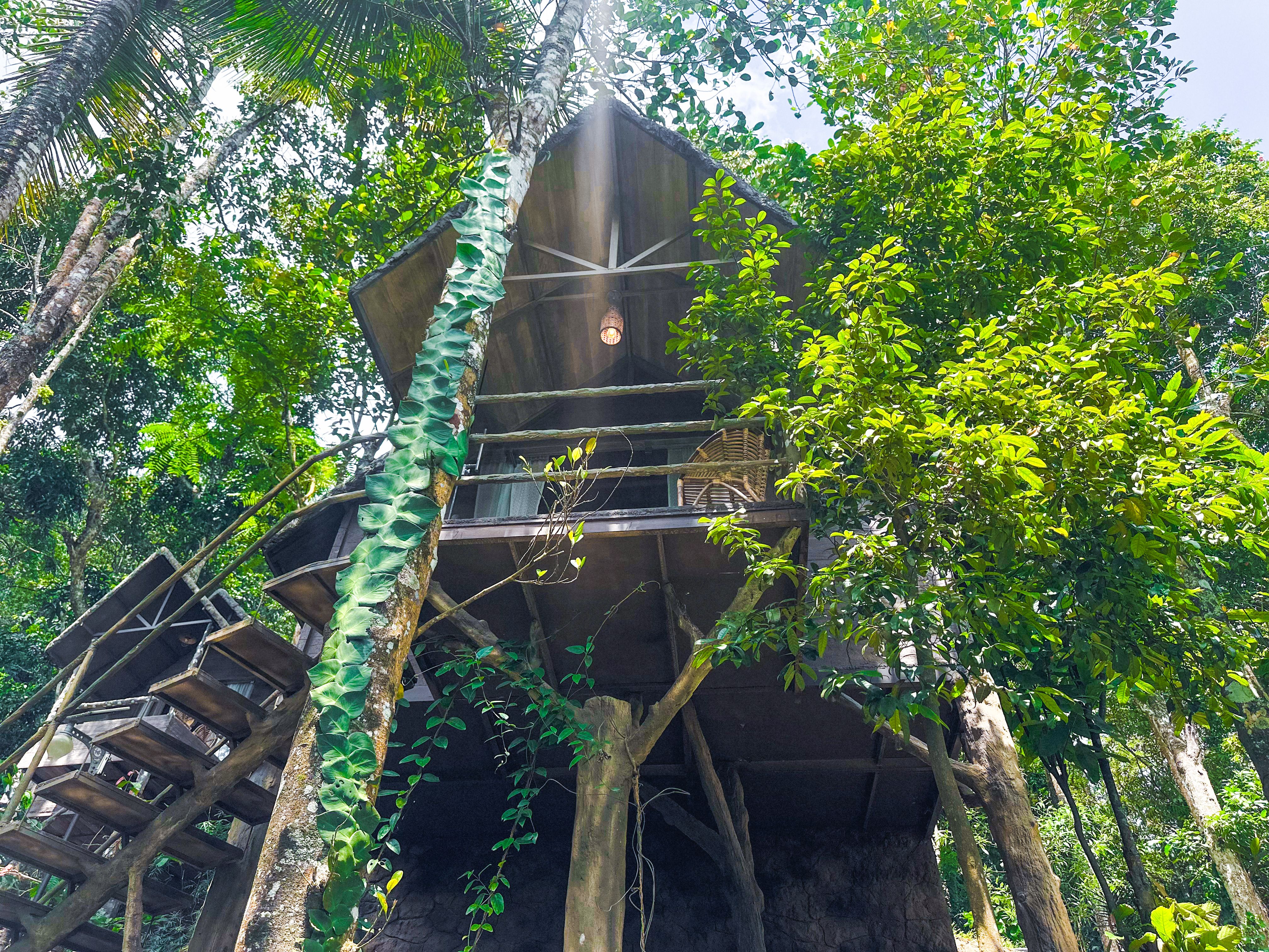 Panchavadi | 10-acre Land With 6 Forest-Facing Rooms, Natural Mountain Pool, Garden & Restro - Image 2
