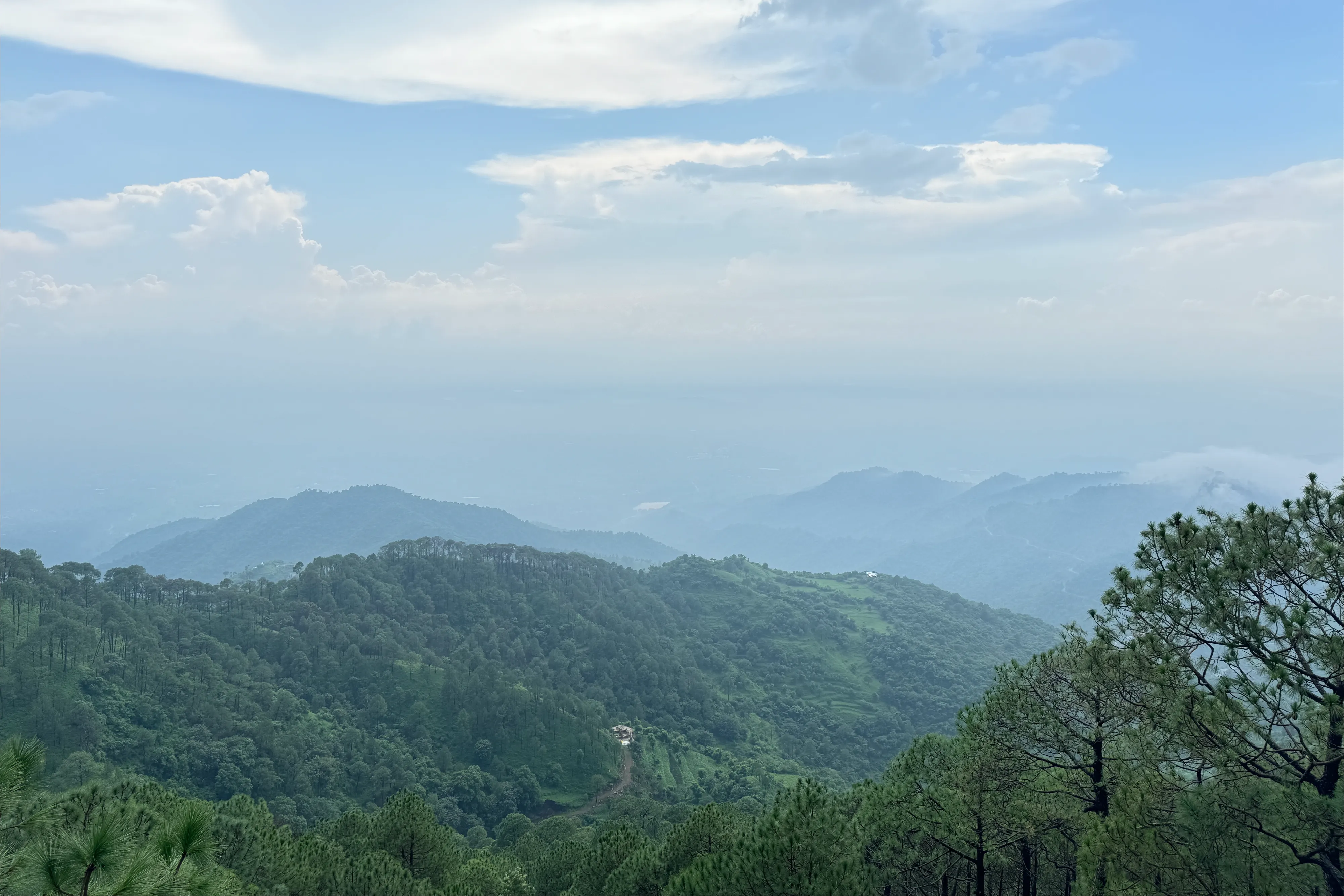 Alpenglow Villa, Kasauli - View