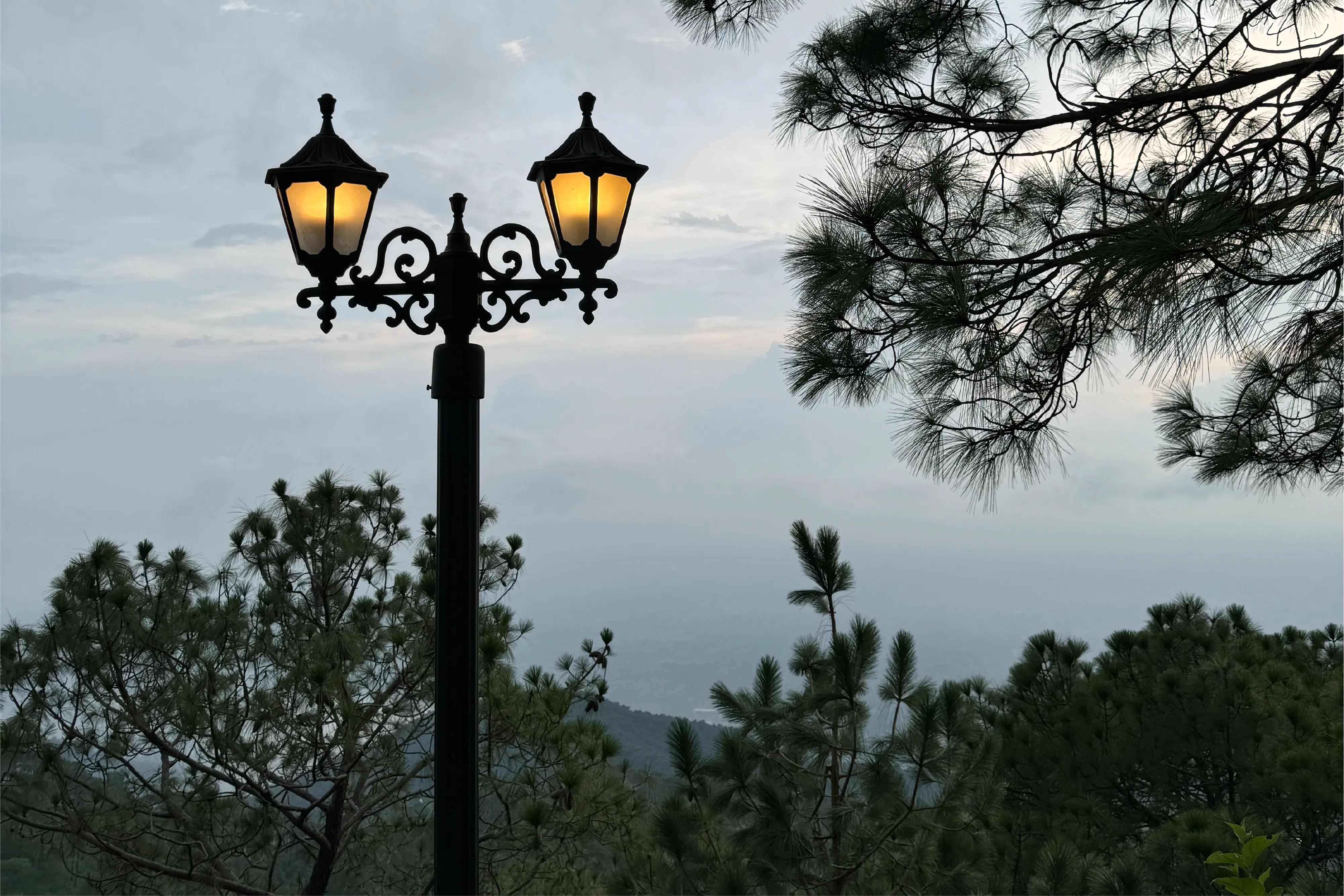 Alpenglow Villa, Kasauli - View