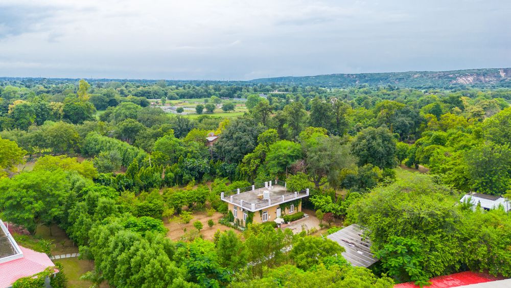 Raha Farms