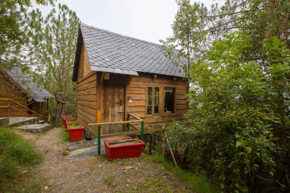Suro Woodbine Chalet