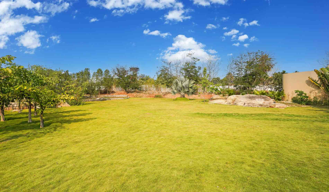Greenery in Bangalore