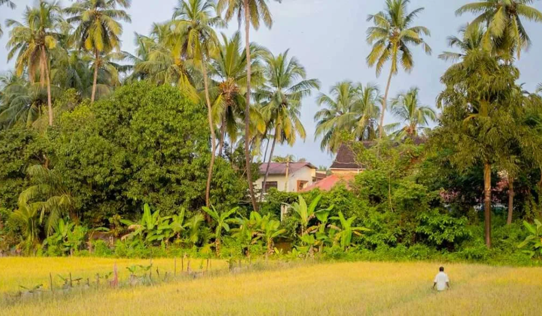 goa village life