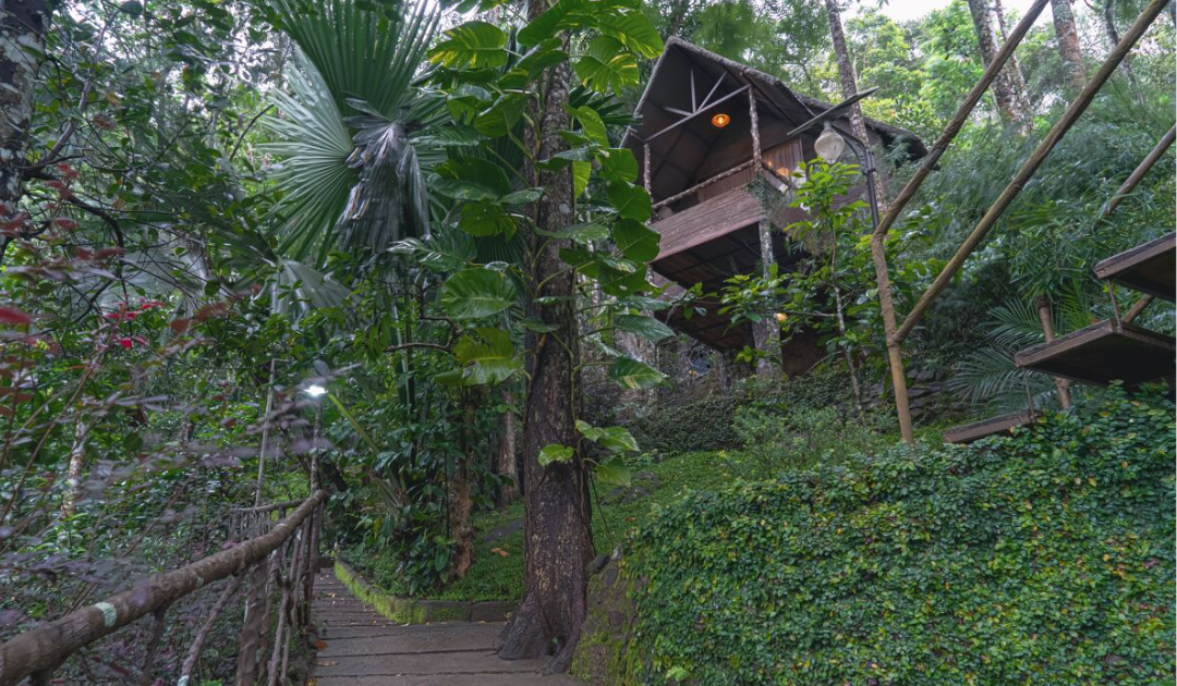 resorts in thekkady
