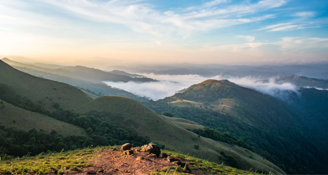 Best Time to Visit Coorg: A Complete Season-Wise Guide