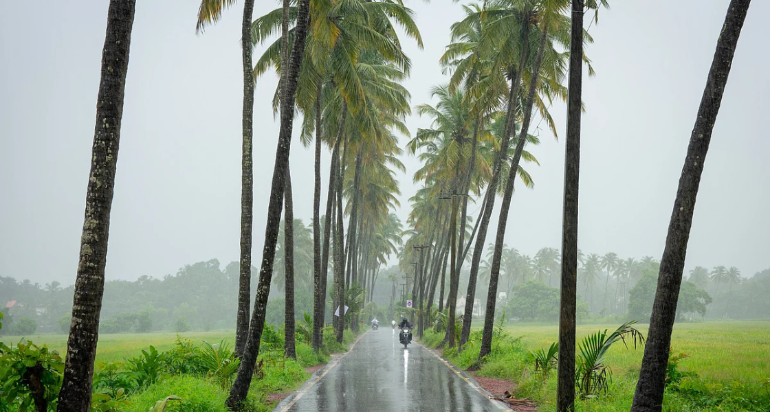 Goa in Monsoon: Best Places to Visit for Rainy Season Magic